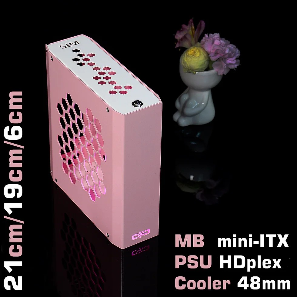 Custom_Mod SLM1m ITX